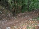 les gorges des Tines